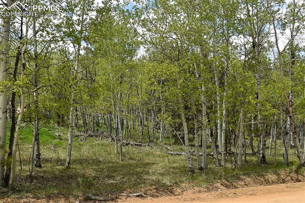 55 Aspen Way Drive Guffey CO 80820