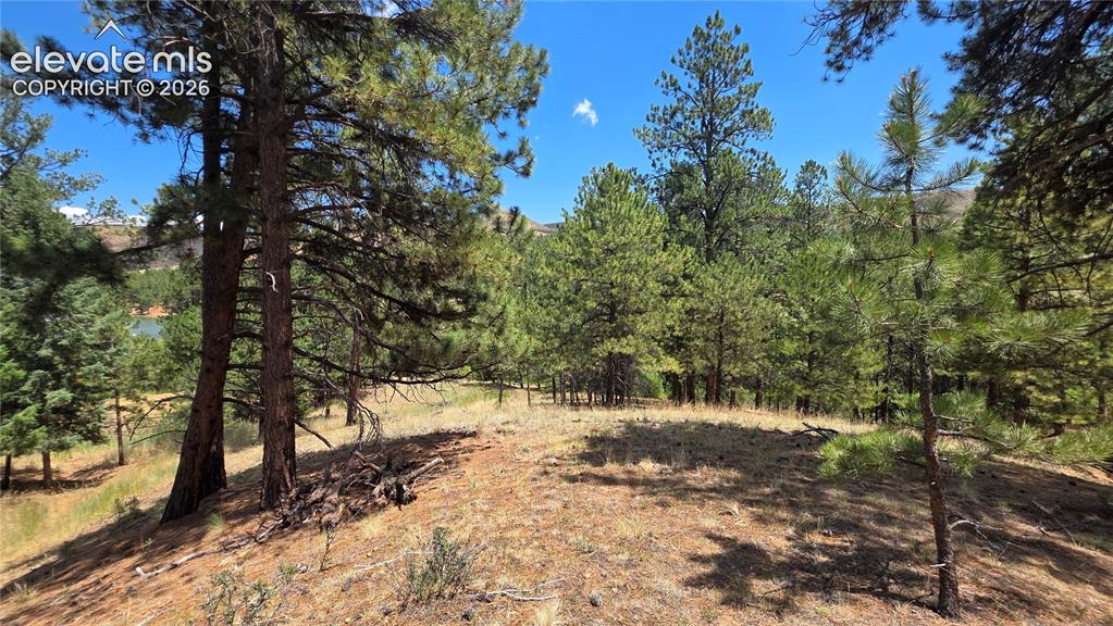 15394 Westcreek Road Woodland Park CO 80863