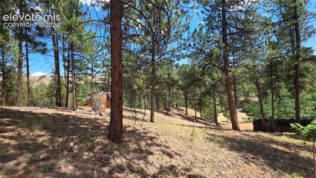 15394 Westcreek Road Woodland Park CO 80863