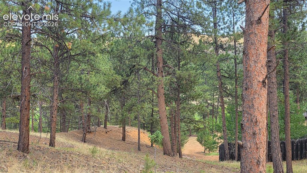 15394 Westcreek Road Woodland Park CO 80863