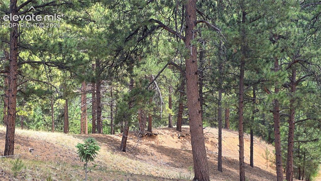 15394 Westcreek Road Woodland Park CO 80863