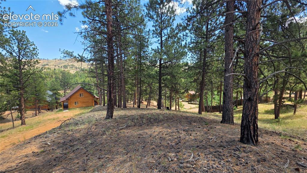 15394 Westcreek Road Woodland Park CO 80863