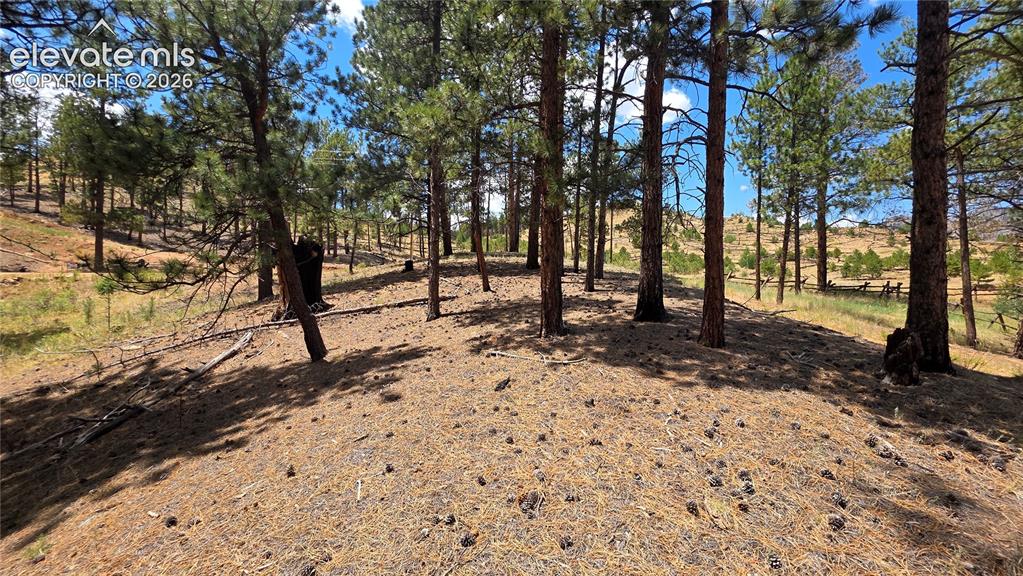15394 Westcreek Road Woodland Park CO 80863