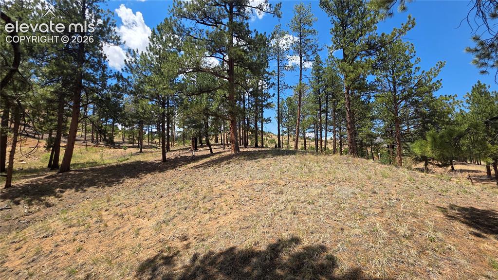 15394 Westcreek Road Woodland Park CO 80863