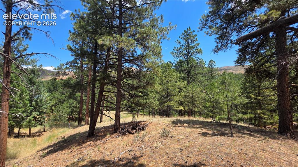 15394 Westcreek Road Woodland Park CO 80863