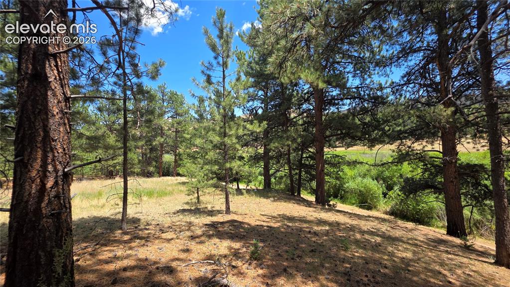 15394 Westcreek Road Woodland Park CO 80863