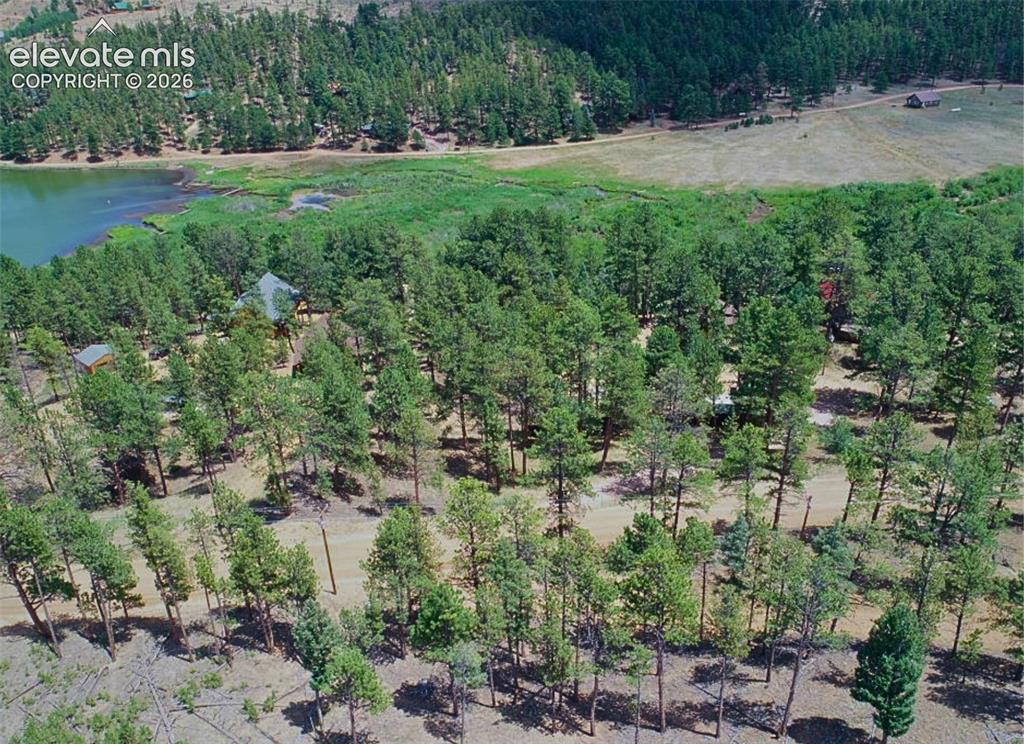 15394 Westcreek Road Woodland Park CO 80863