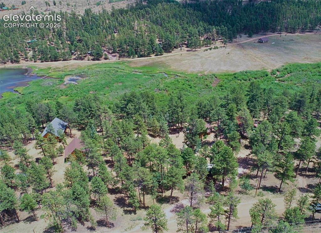 15394 Westcreek Road Woodland Park CO 80863