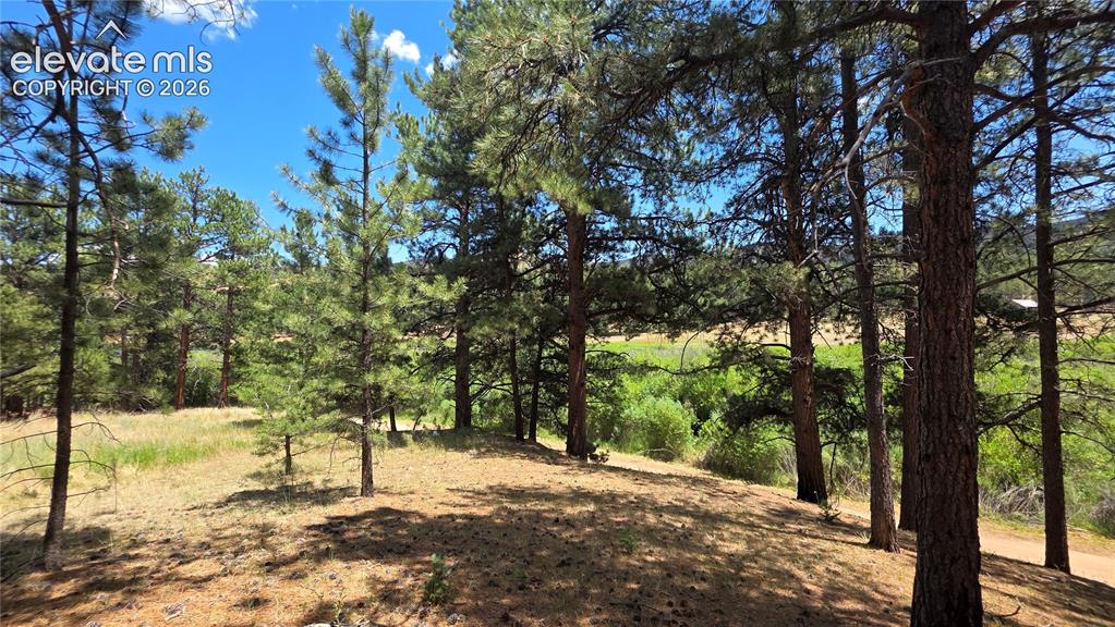 15394 Westcreek Road Woodland Park CO 80863