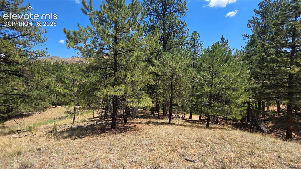 15394 Westcreek Road Woodland Park CO 80863