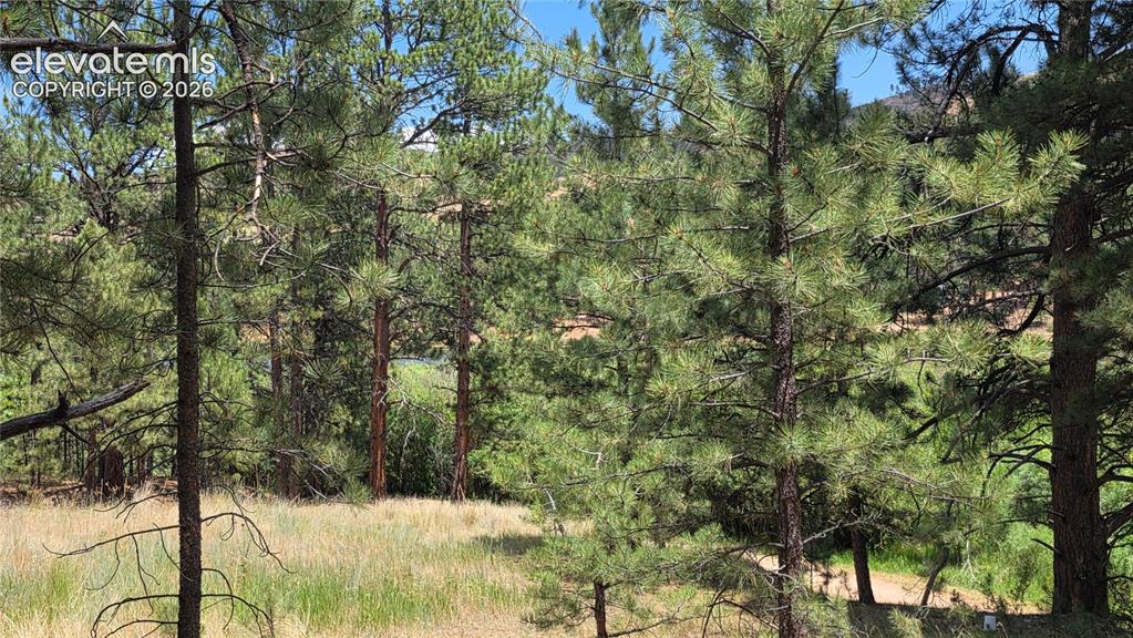 15394 Westcreek Road Woodland Park CO 80863