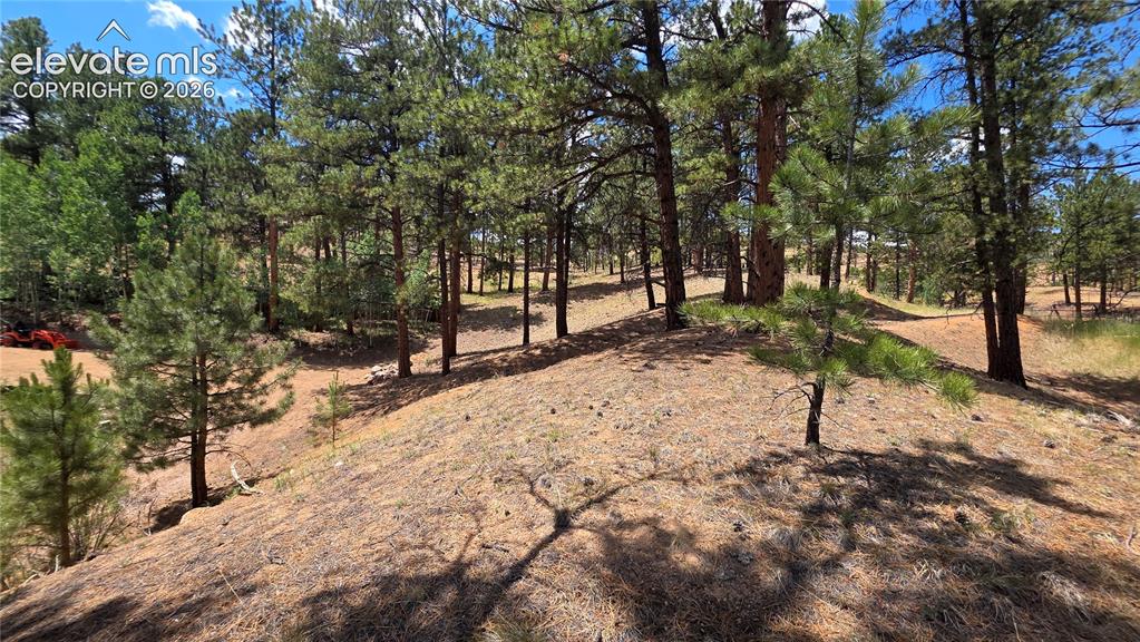 15394 Westcreek Road Woodland Park CO 80863