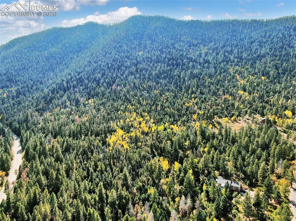 5295 Kulsa Road Cascade CO 80809