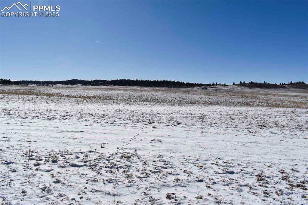 6983 County Road 53 Hartsel CO 80449