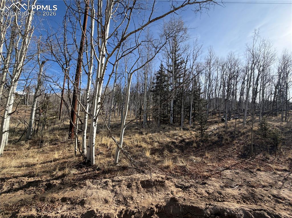 32 Sugar Loaf Lane Jefferson CO 80456