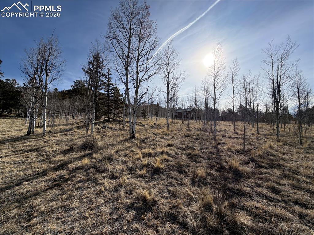32 Sugar Loaf Lane Jefferson CO 80456