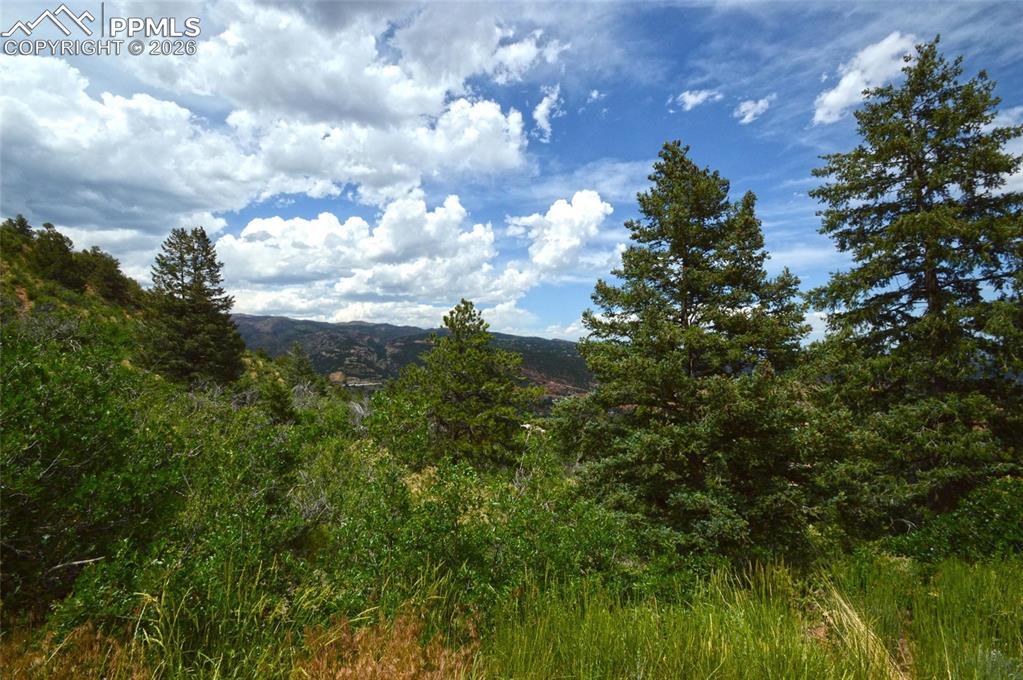1096 Laguna Point Manitou Springs CO 80829