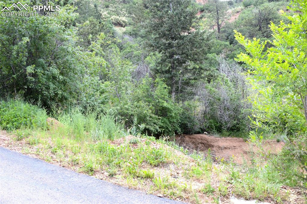 1096 Laguna Point Manitou Springs CO 80829