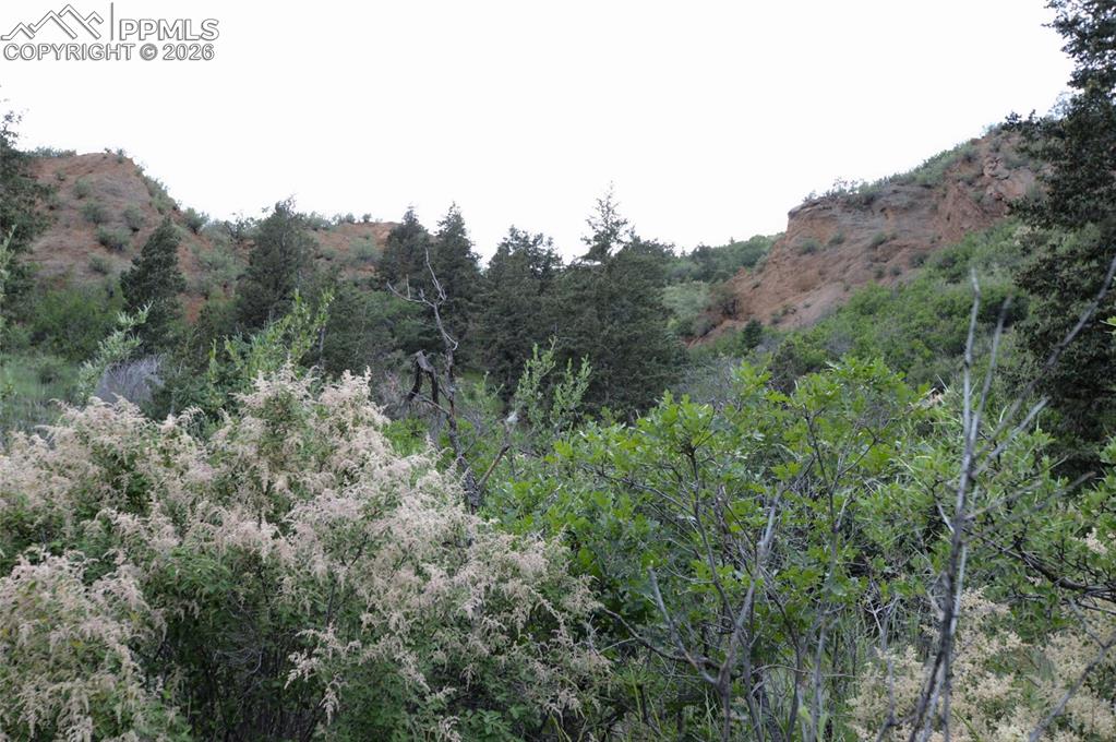 1096 Laguna Point Manitou Springs CO 80829