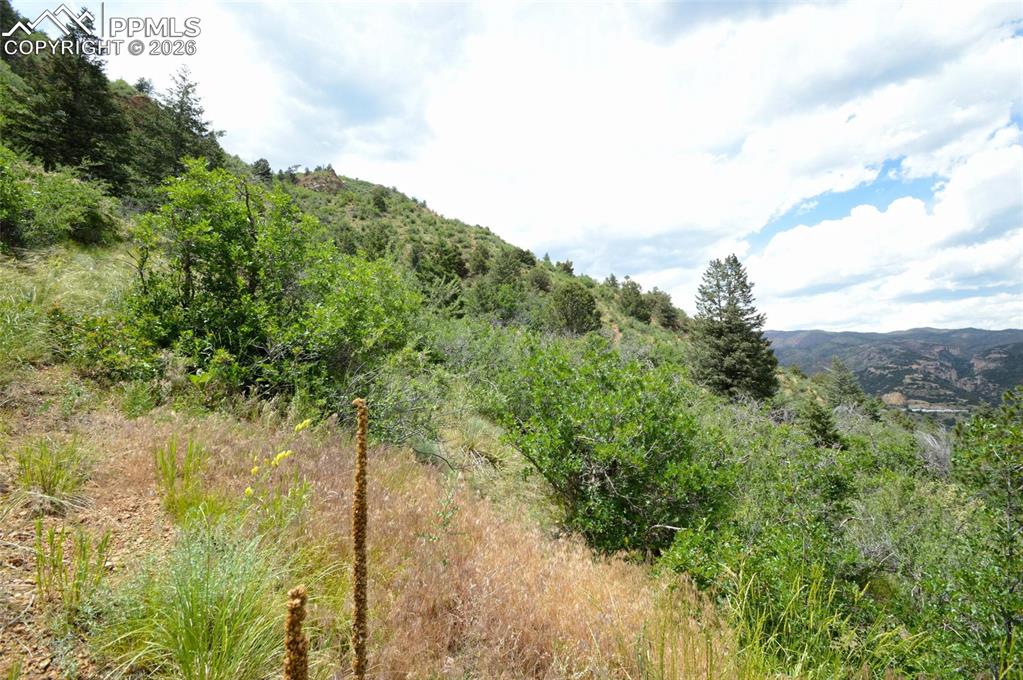 1096 Laguna Point Manitou Springs CO 80829