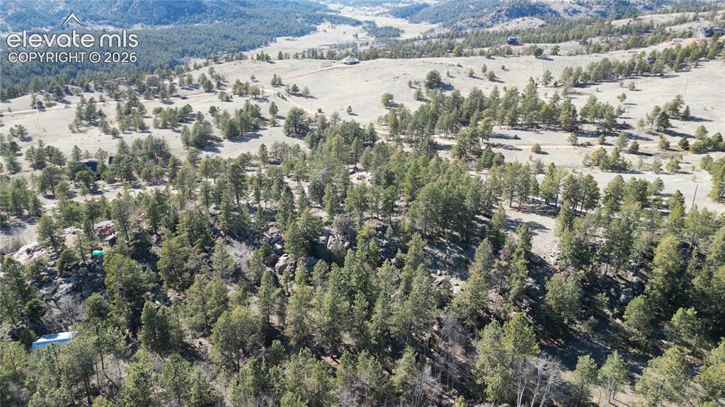 421 Crescent Drive Florissant CO 80816