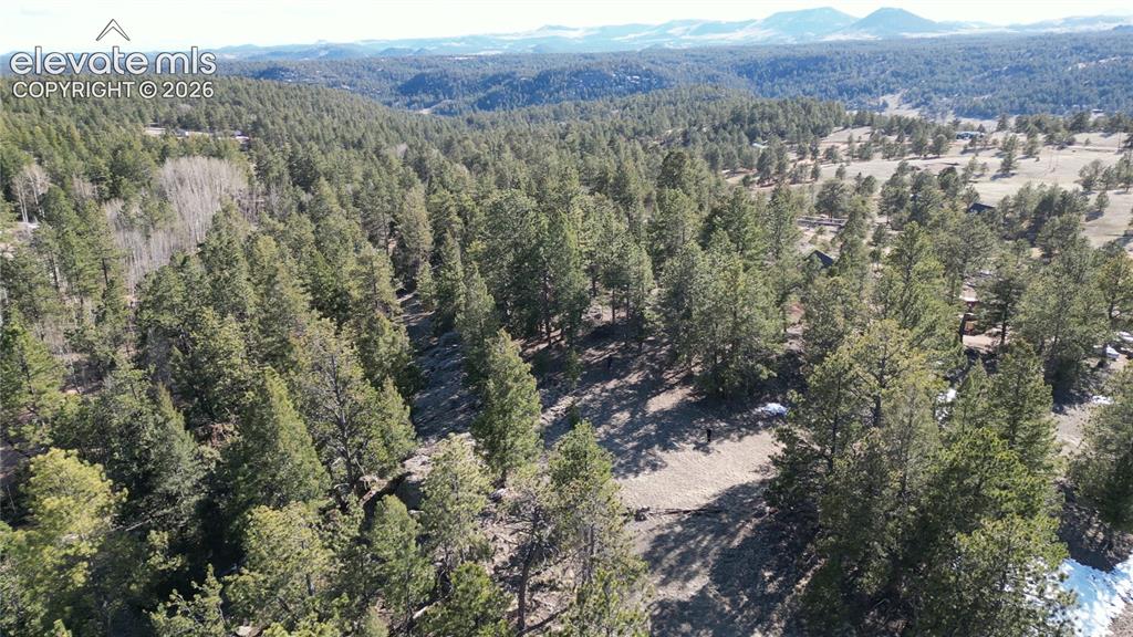 421 Crescent Drive Florissant CO 80816