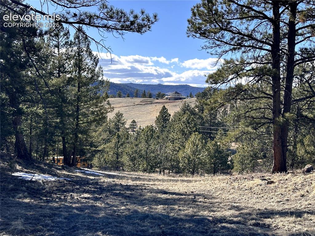 421 Crescent Drive Florissant CO 80816