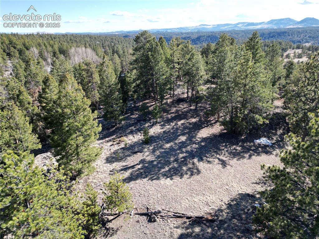 421 Crescent Drive Florissant CO 80816