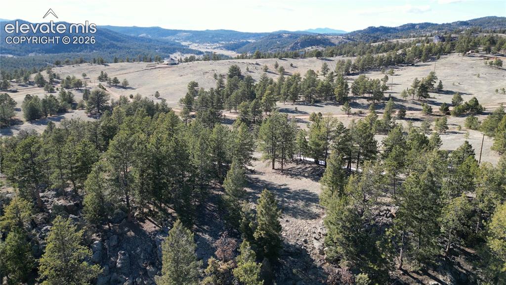 421 Crescent Drive Florissant CO 80816