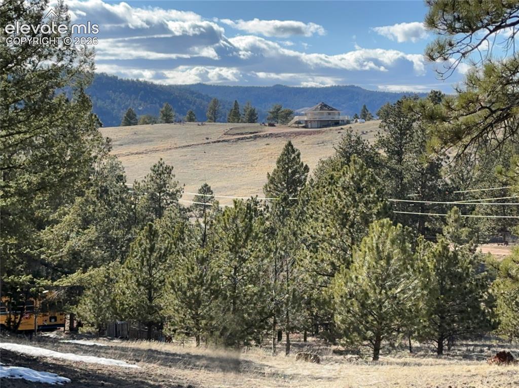 421 Crescent Drive Florissant CO 80816
