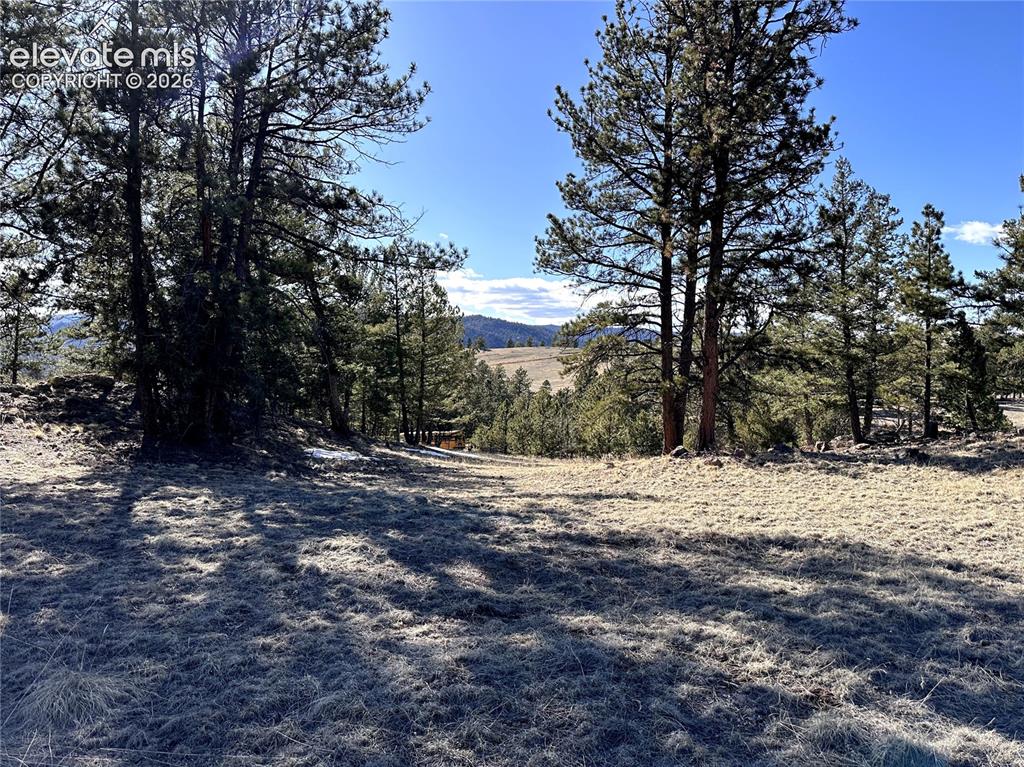 421 Crescent Drive Florissant CO 80816