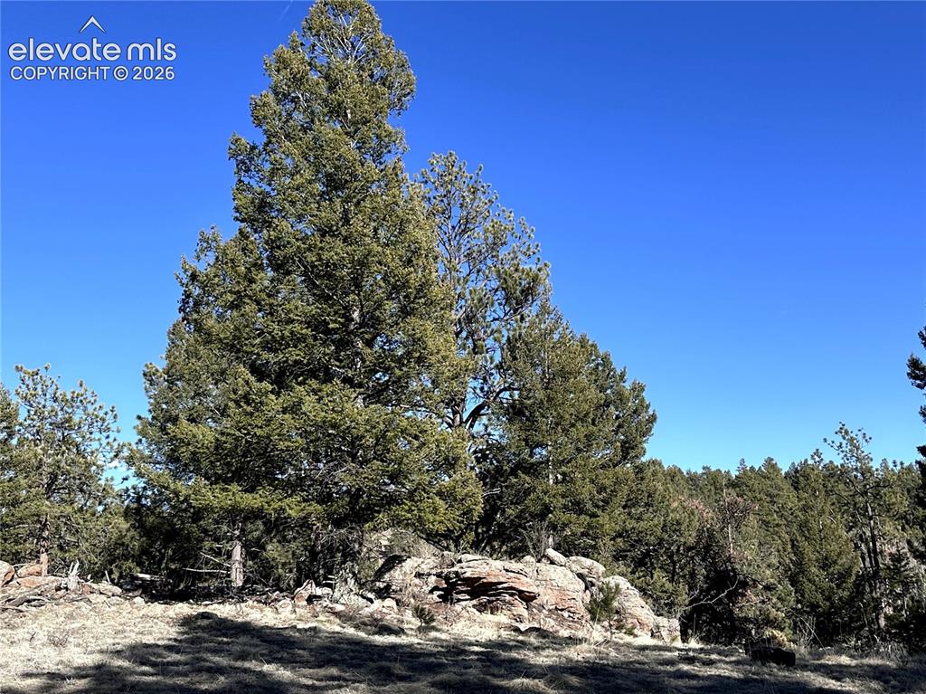 421 Crescent Drive Florissant CO 80816