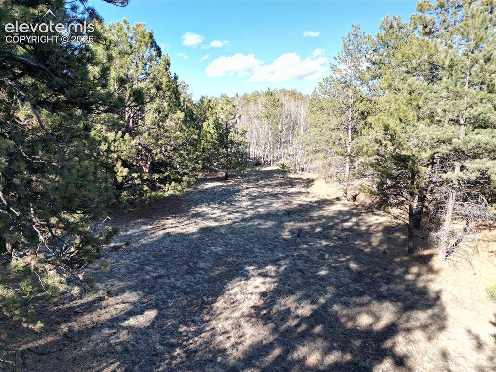 421 Crescent Drive Florissant CO 80816