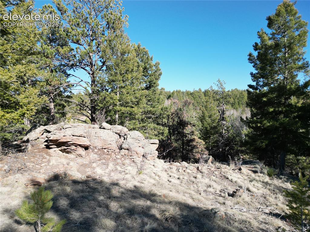 421 Crescent Drive Florissant CO 80816
