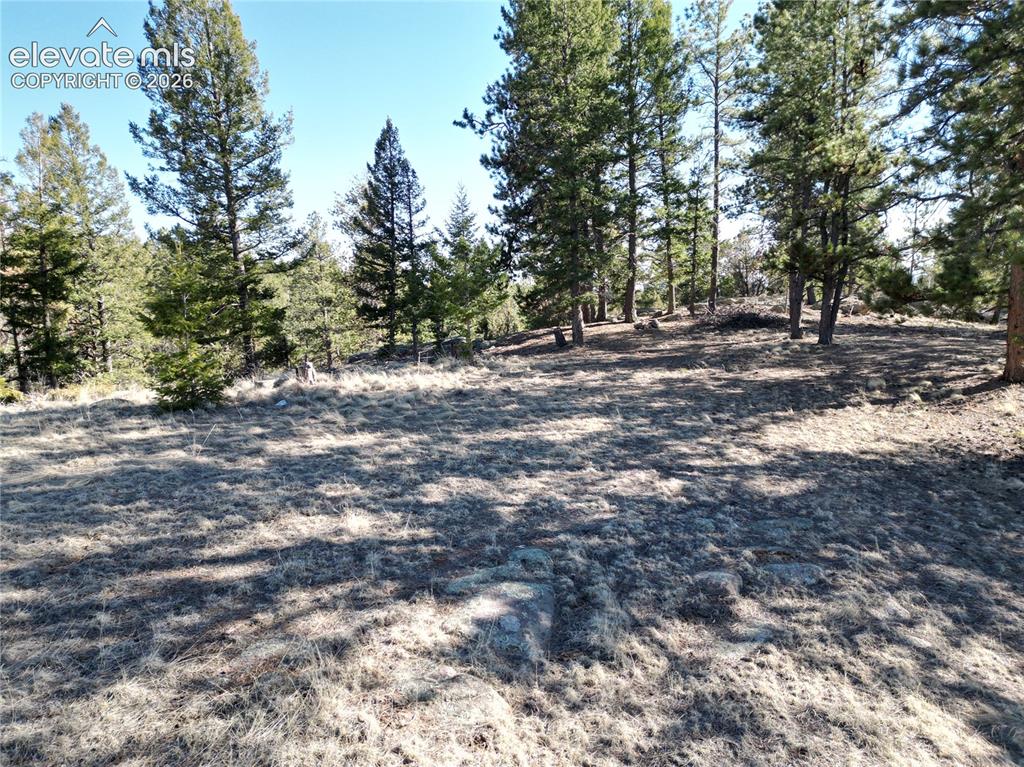421 Crescent Drive Florissant CO 80816