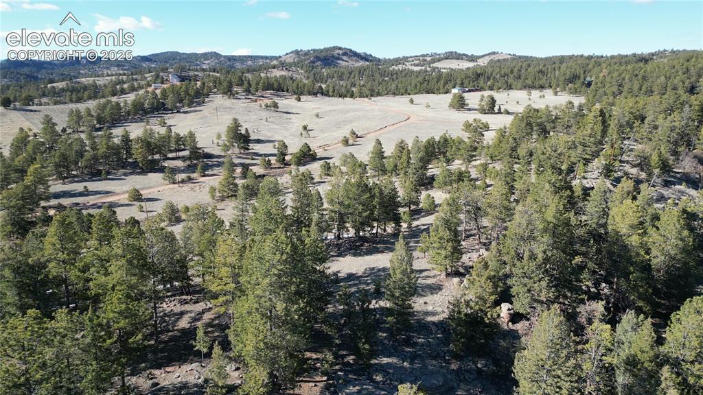 421 Crescent Drive Florissant CO 80816