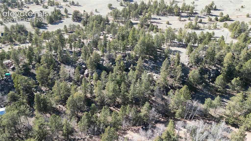 421 Crescent Drive Florissant CO 80816