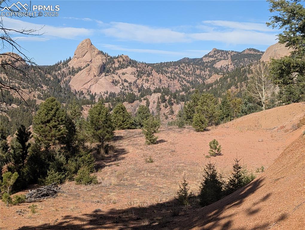 130 Lookout Road Cripple Creek CO 80813