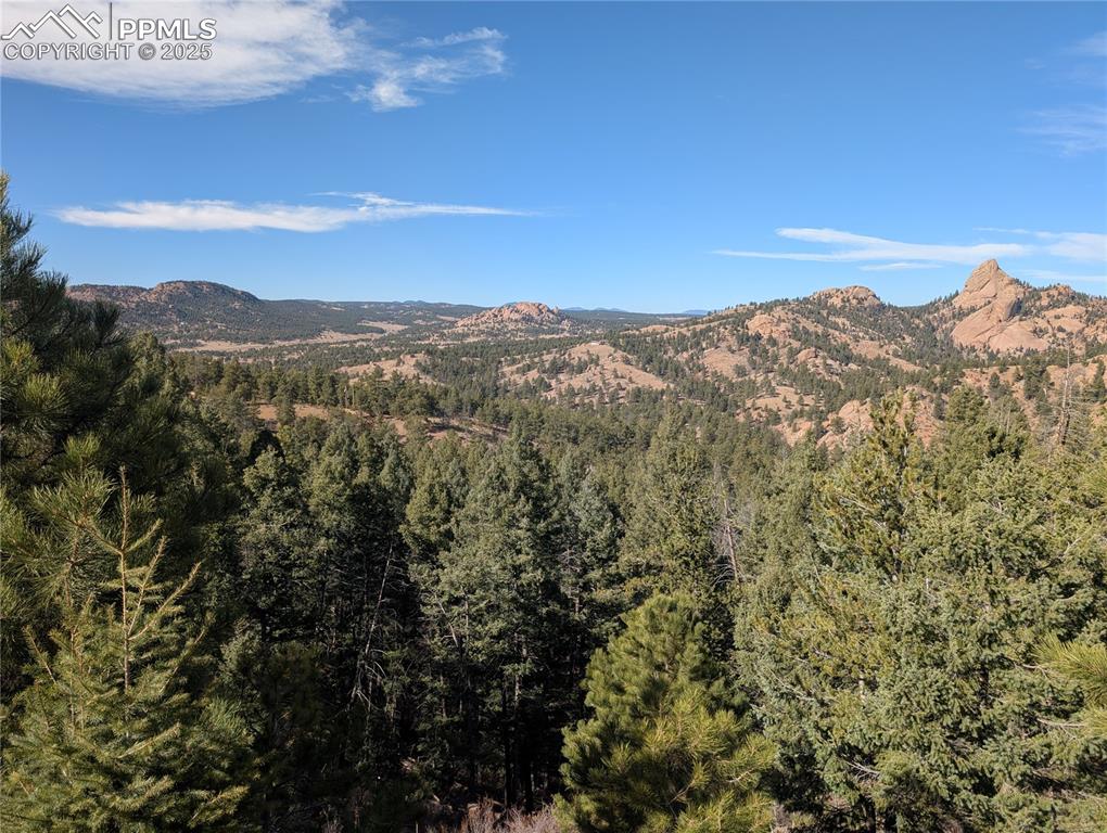 130 Lookout Road Cripple Creek CO 80813