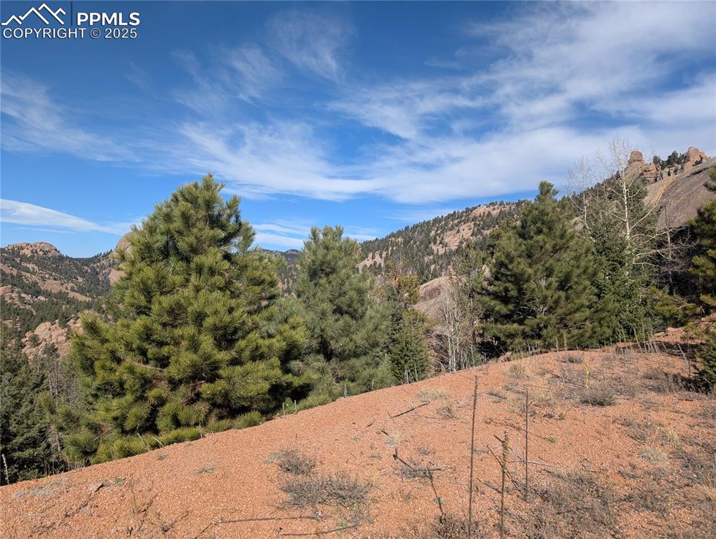 130 Lookout Road Cripple Creek CO 80813