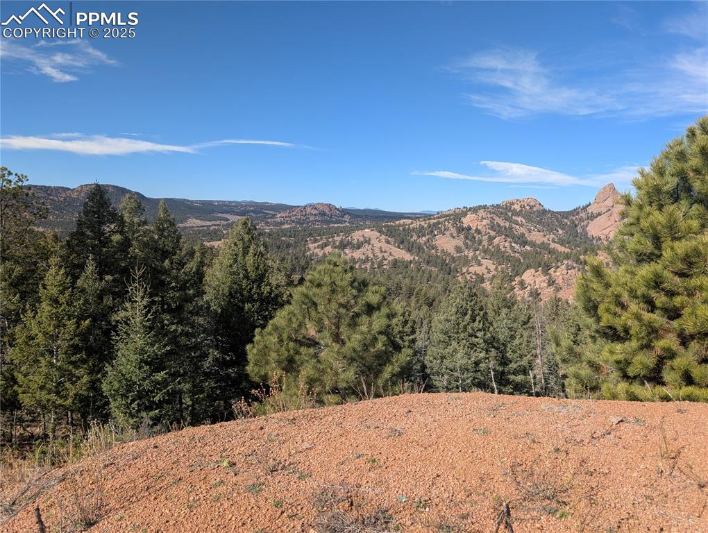 130 Lookout Road Cripple Creek CO 80813