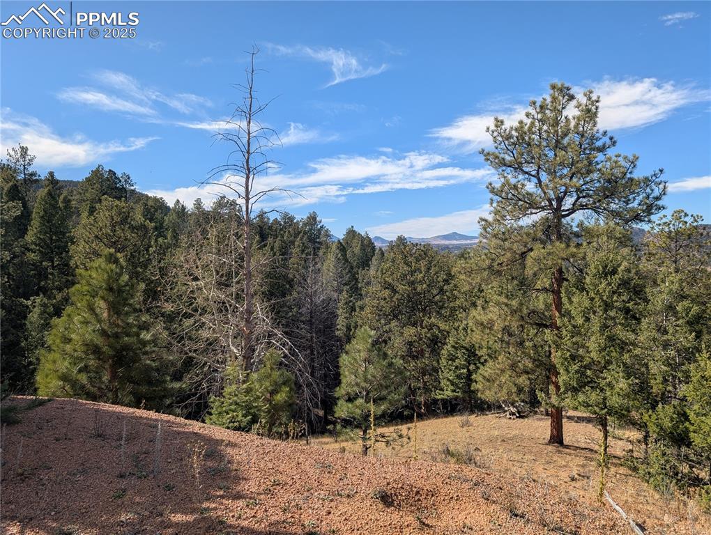 130 Lookout Road Cripple Creek CO 80813