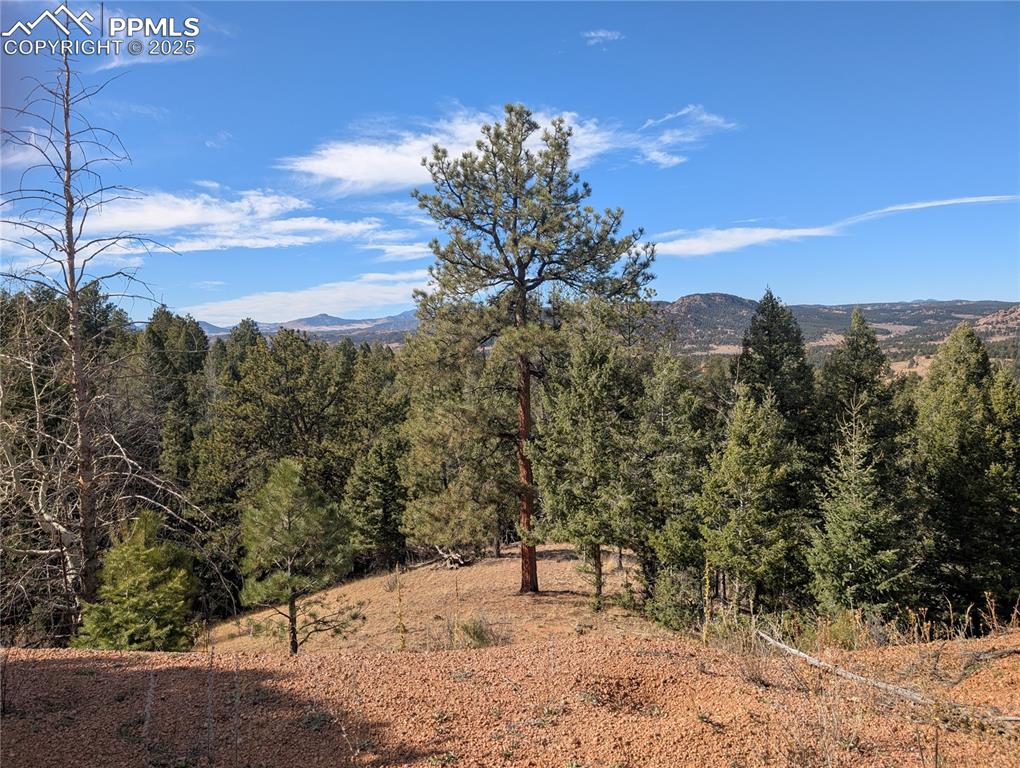 130 Lookout Road Cripple Creek CO 80813