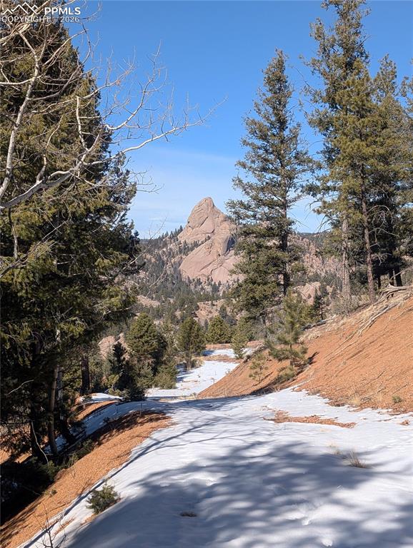 130 Lookout Road Cripple Creek CO 80813