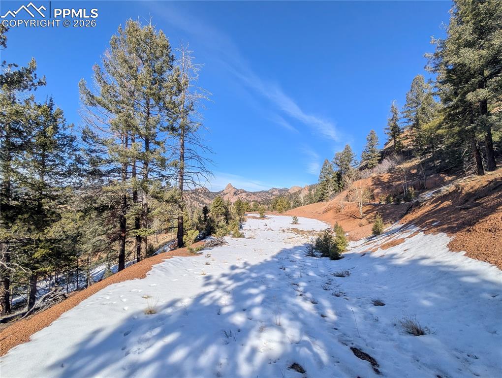 130 Lookout Road Cripple Creek CO 80813