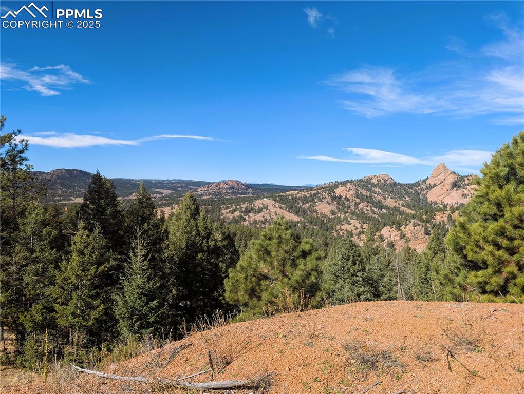 130 Lookout Road Cripple Creek CO 80813