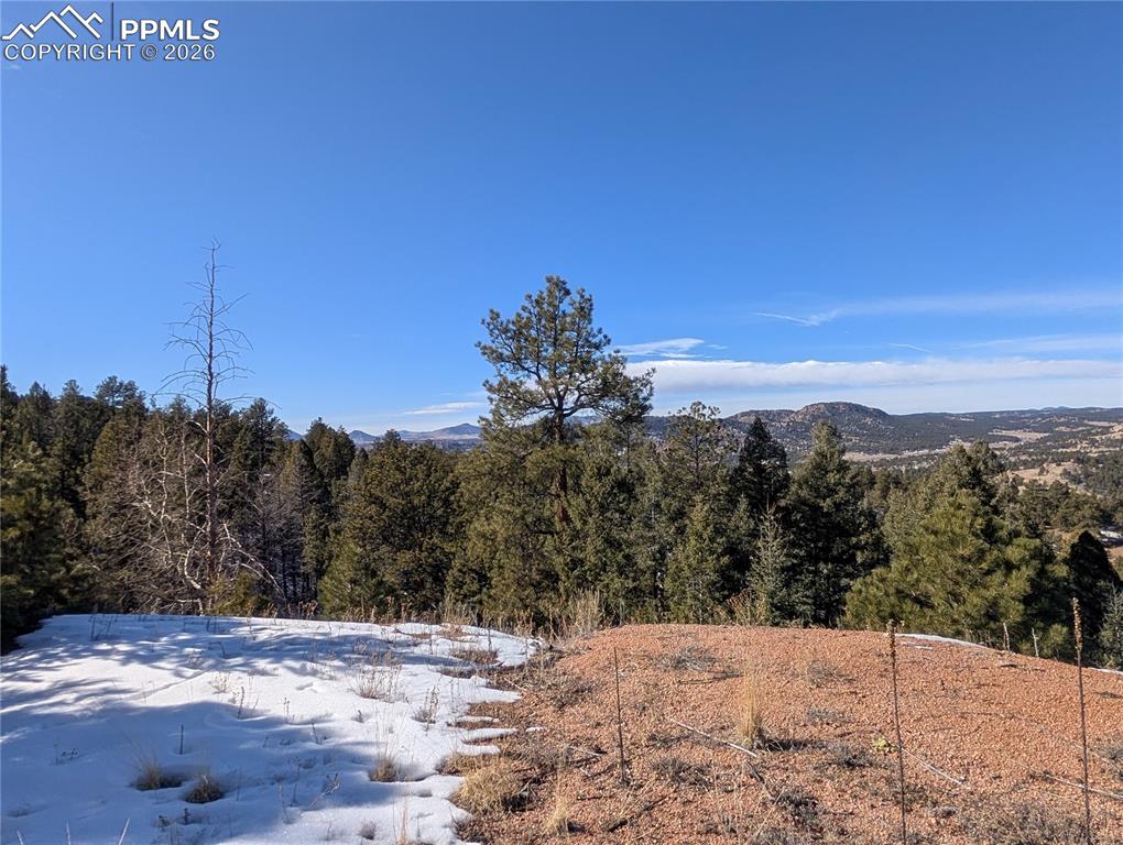 130 Lookout Road Cripple Creek CO 80813