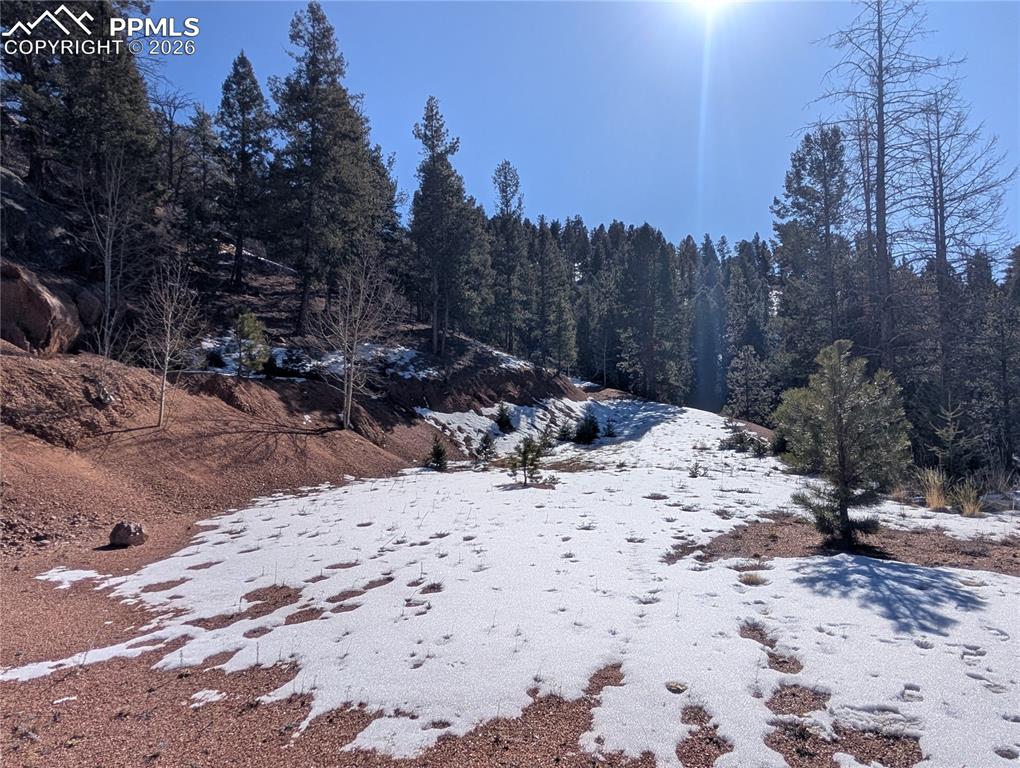 130 Lookout Road Cripple Creek CO 80813