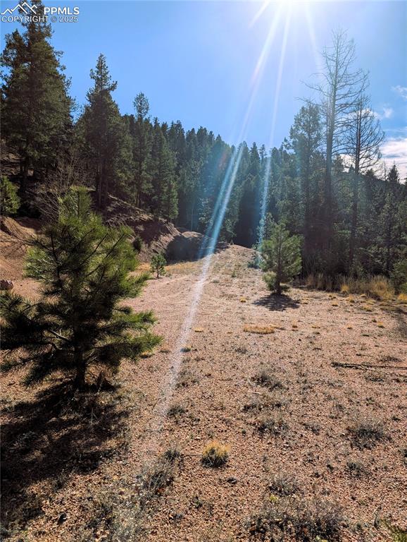 130 Lookout Road Cripple Creek CO 80813