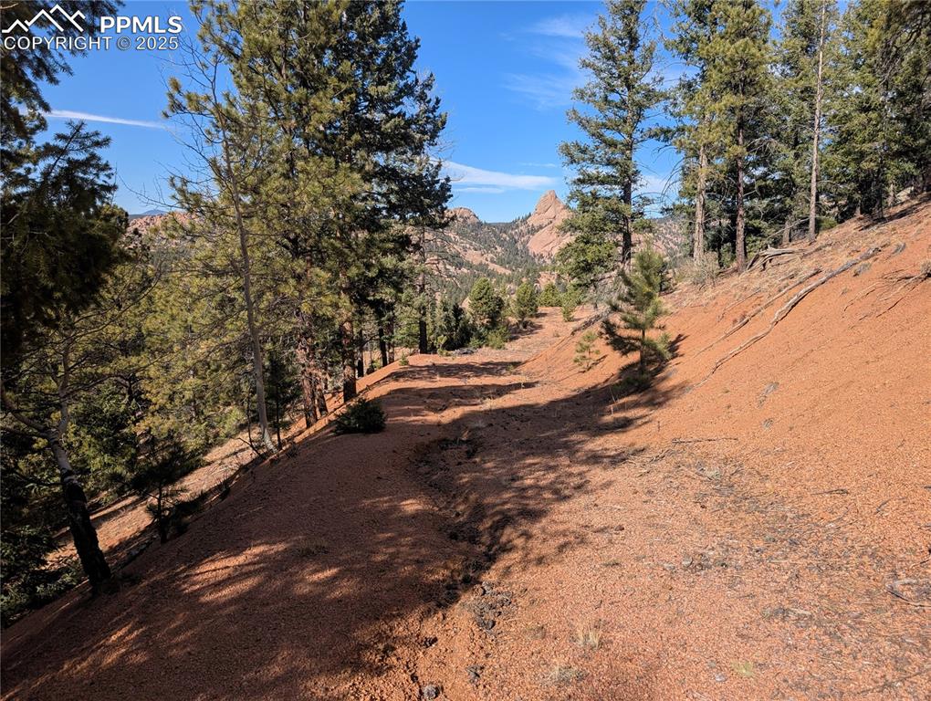 130 Lookout Road Cripple Creek CO 80813